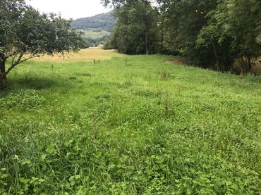 Terreni e lotti in vendita a Cangas de Onís