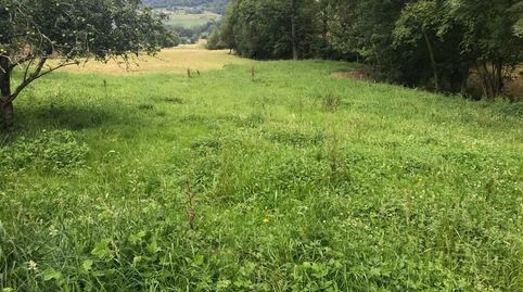 Venta de finca LLANA, edificable, a 10 minutos de Cangas de Onís
