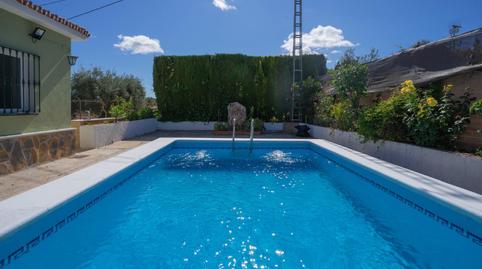 Foto 5 de Casa o xalet de lloguer a Buenavista - Lauro Golf, Alhaurín de la Torre