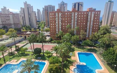 Piscina de Apartament en venda en Benidorm amb Aire condicionat i Terrassa