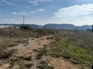 Rural land for sale in Vallmoll, imagen 4