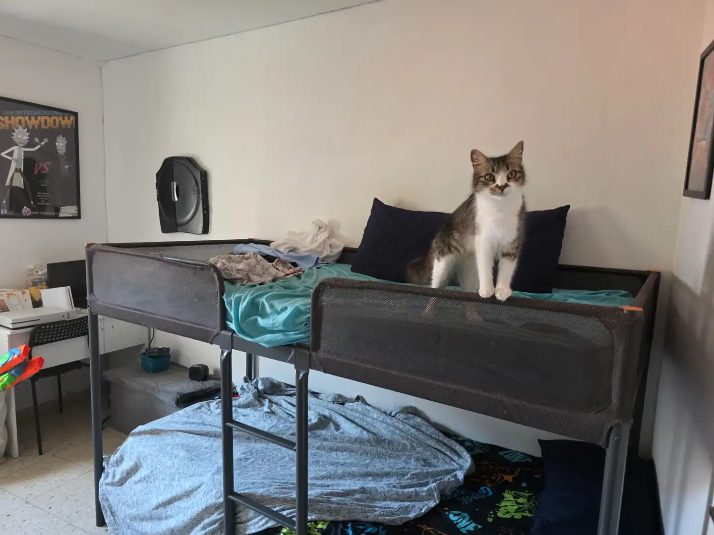 Habitación de Edificio en venta en Güímar