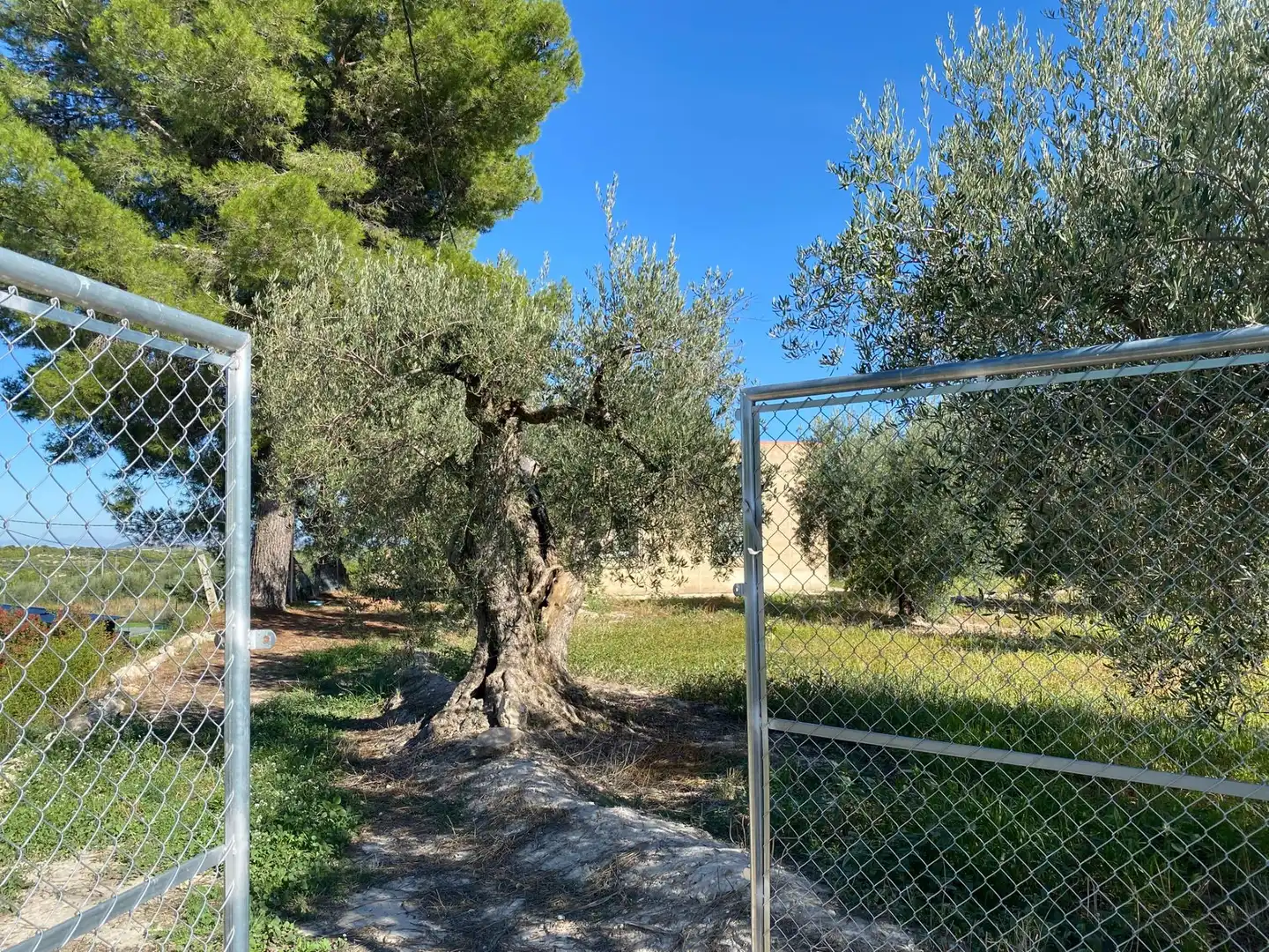 Terrain rustique à vendre à Moratalla, imagen 10