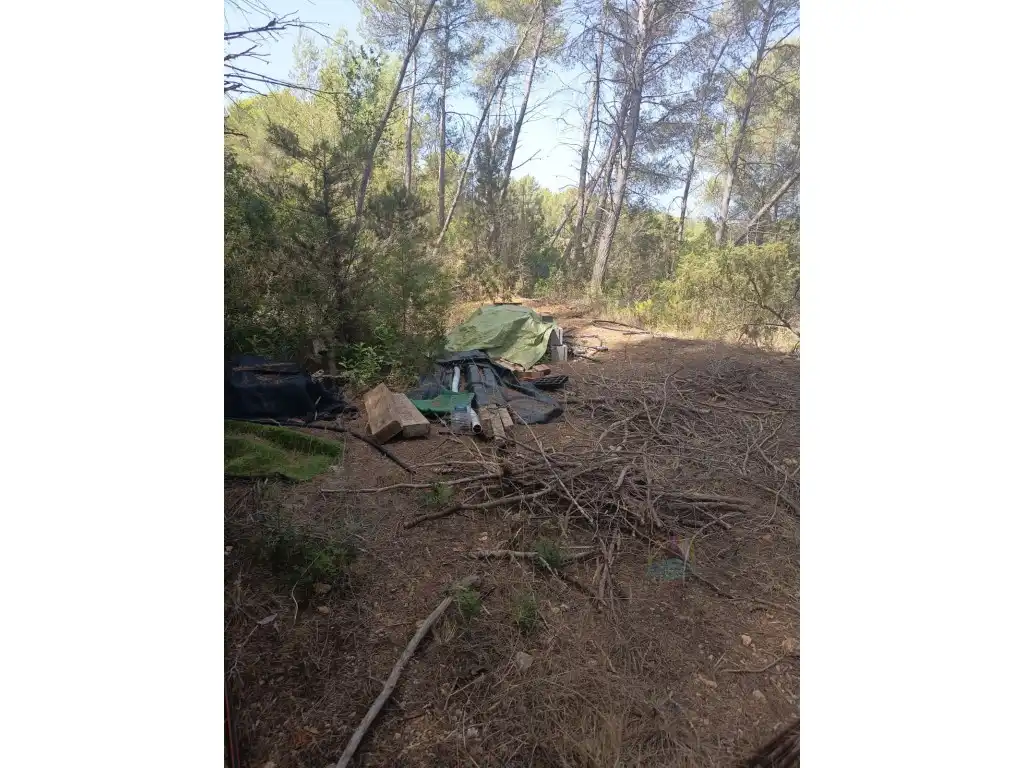 Terreno rustico in vendita a Diseminados Sector 4.5 Santa Agnes, imagen 5