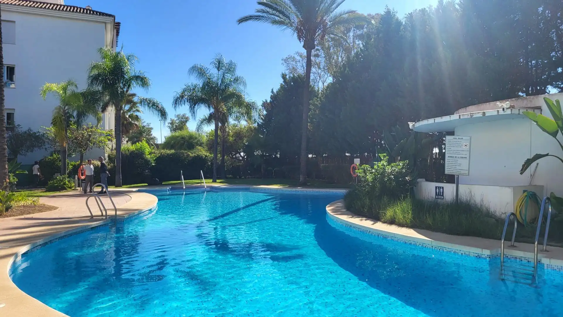 Swimming pool of Apartments for rent in Nueva Andalucía