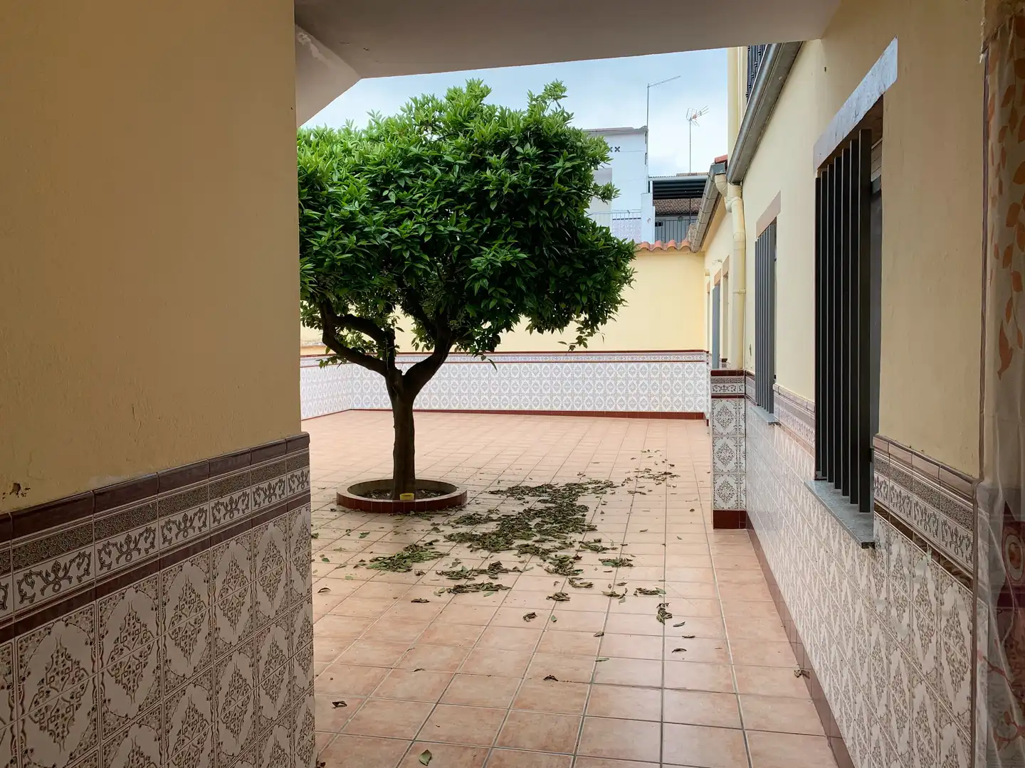 Casa con terraza en venta en Calle Cuesta, imagen 9