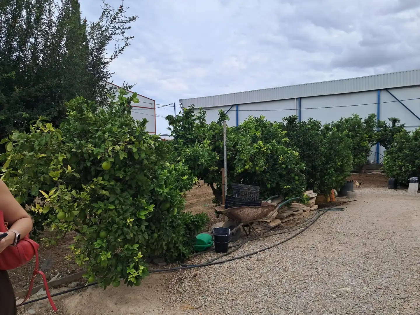 Maison rustique avec jardin à vendre à Calle de los Lechugas, imagen 4