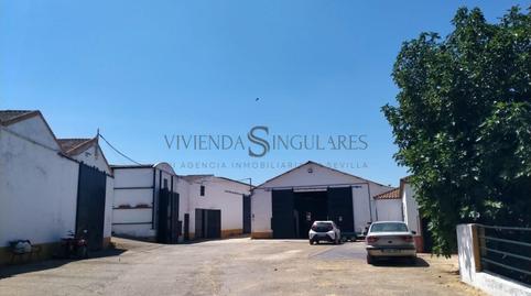 Foto 5 de Finca rústica en venda a Oromana, Sevilla