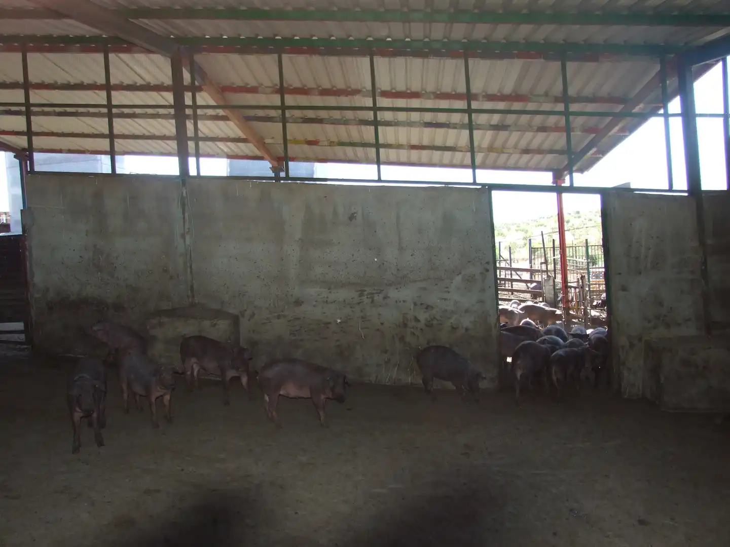 Terreno rustico in vendita a Carretera Fuente del Maestre-Huerta Julián 44, imagen 16