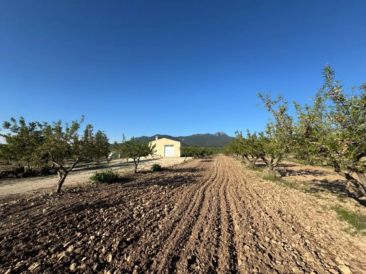 Casa con jardín en venta en Moratalla, imagen 14