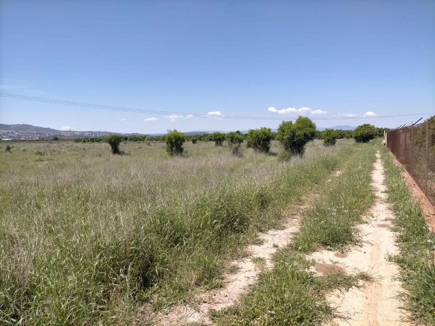 Terreno rústico en venta en Aldaia