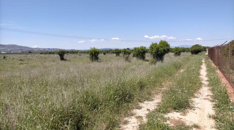 AMPLIO SOLAR RUSTICO DE REGADIO ZONA LAS BALSAS