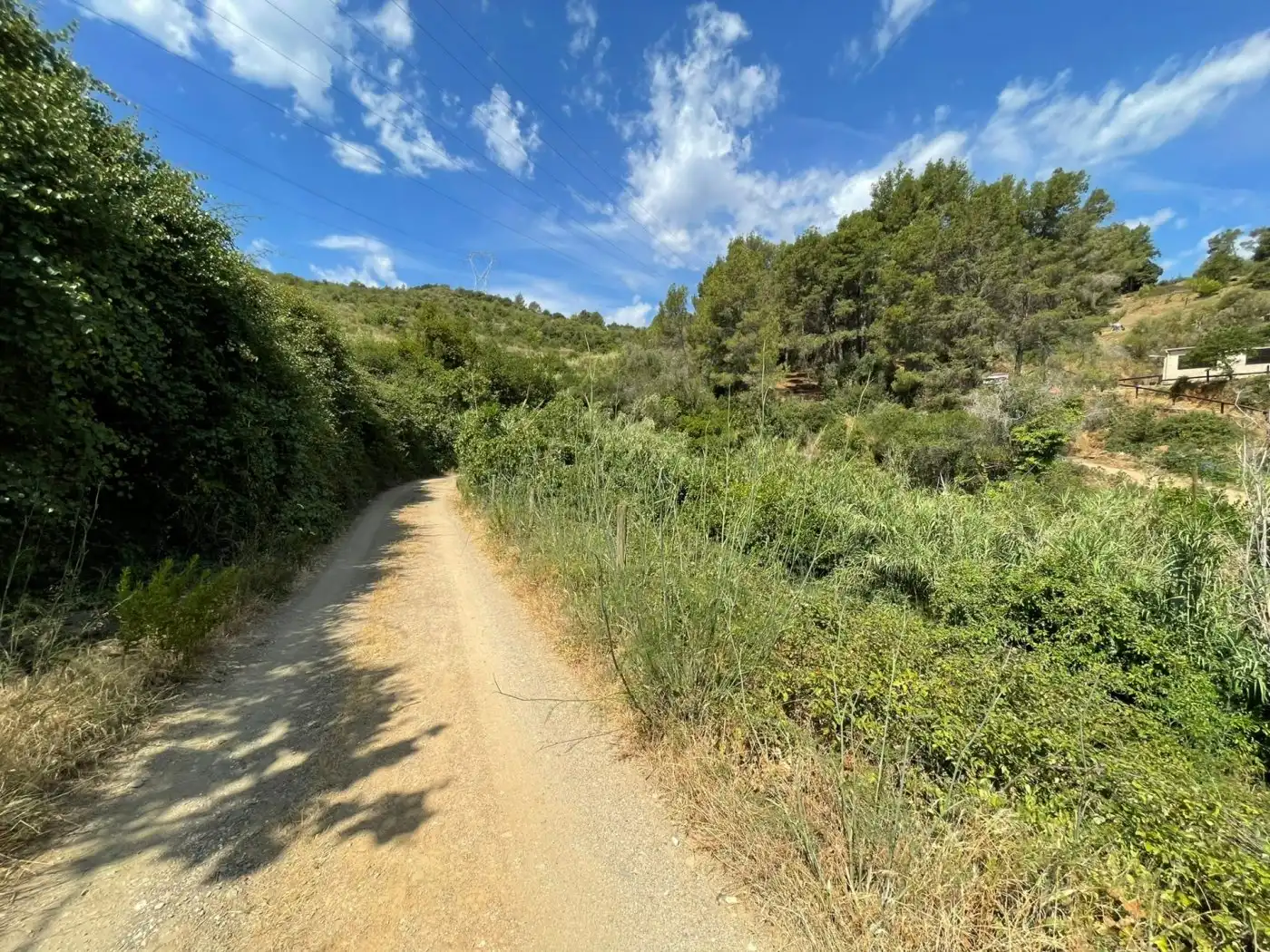 Rural land for sale in Sant Climent de Llobregat, imagen 4