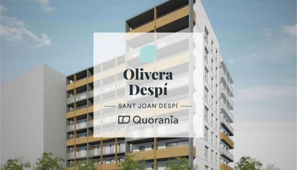 Foto 0 de Promoció OLIVERA DESPÍ