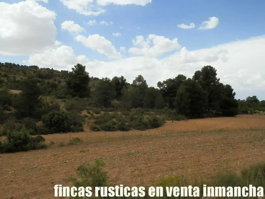 Rural land for sale in Chinchilla de Monte-Aragón, imagen 3