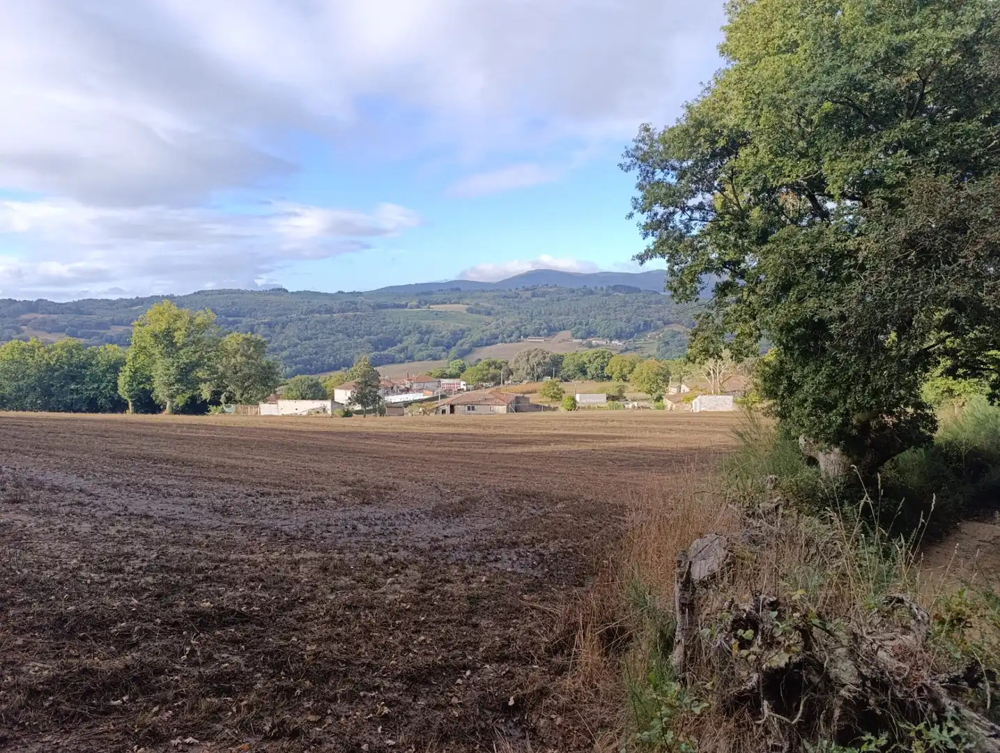 Casa o xalet en venda en Taboada amb Jardí privat, Terrassa i Traster