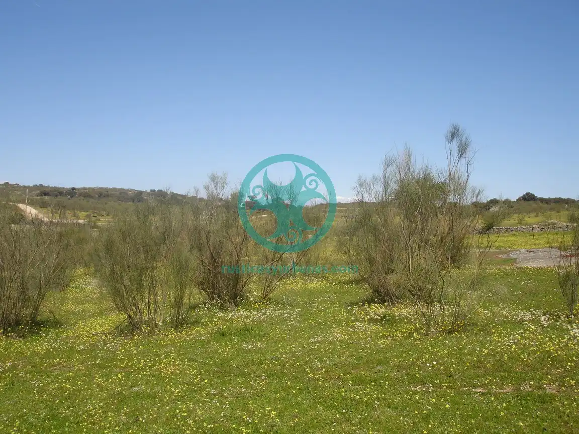 Terreno en venta en Mata de Alcántara