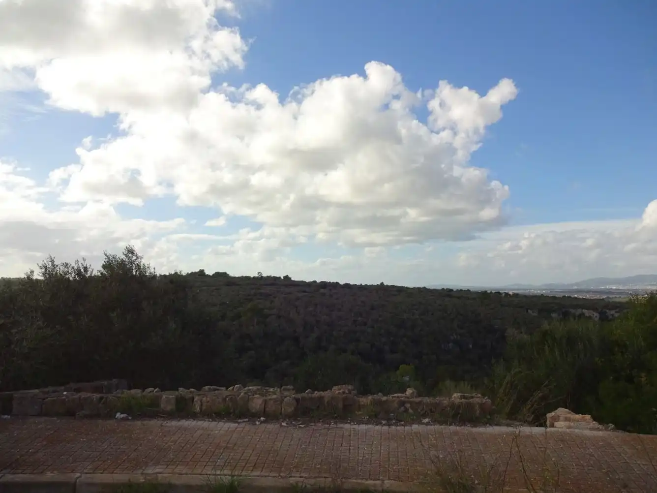 Terreny residencial en venda a Llevant, imagen 12