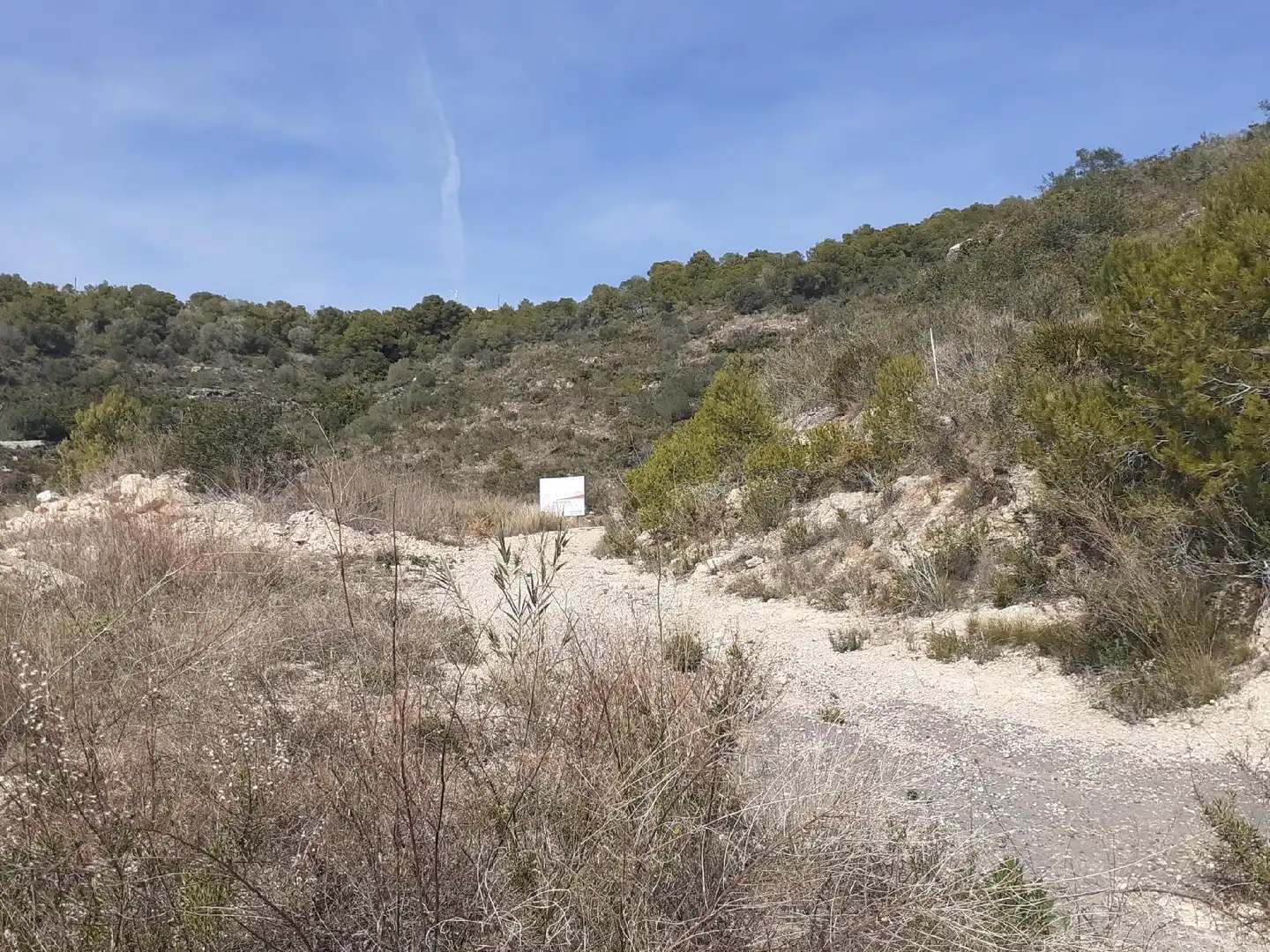 Lands and plots for sale in Roda de Barà, imagen 7