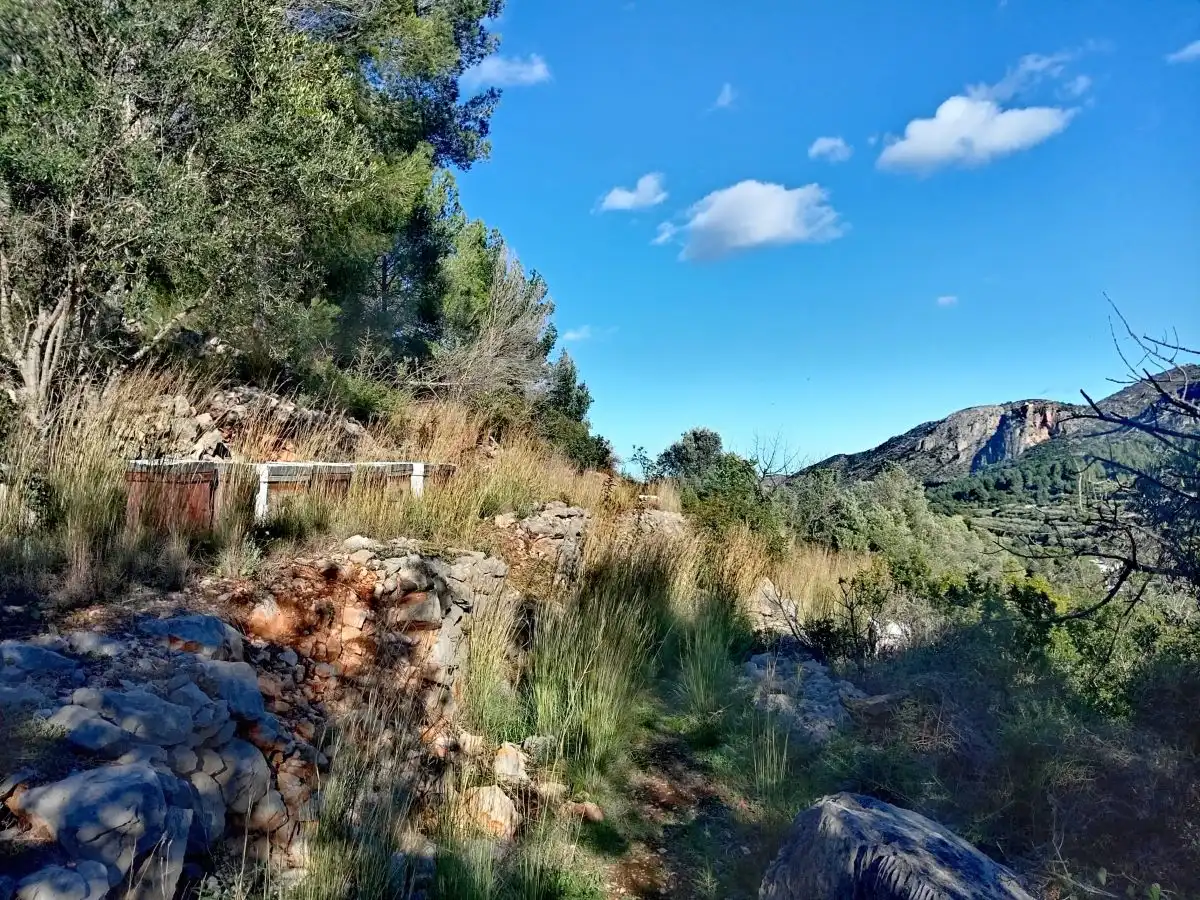 Terreny rústic en venda a Alcalalí