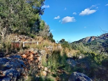 Rustikales Grundstück zum Verkauf in Alcalalí