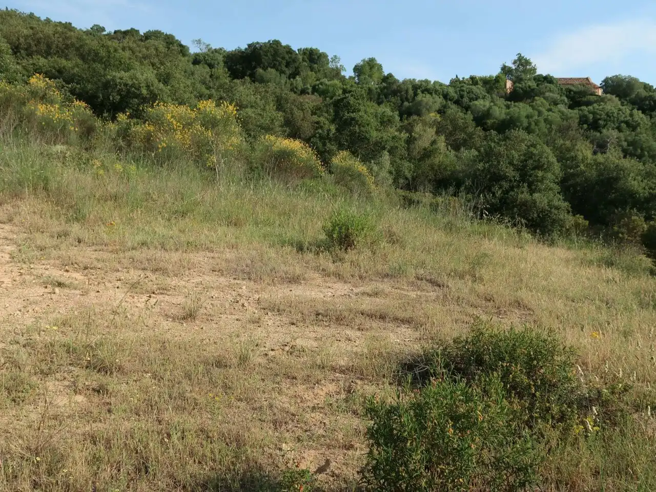 Terreny rústic en venda a GIV-6612 6, imagen 10