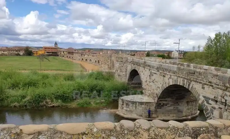 Vista exterior de Finca rústica en venta en Hospital de Órbigo