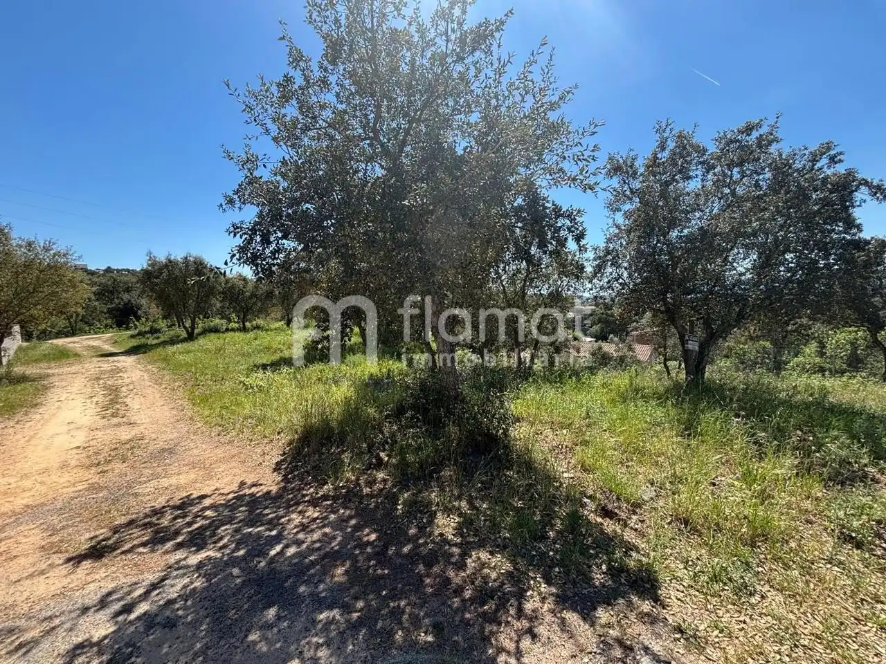 Terrenos y solares en venta en Carrer de Can Badia Vell, imagen 3
