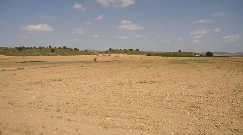 Parcela 17.496 m2 en Yecla Murcia, immagine 2