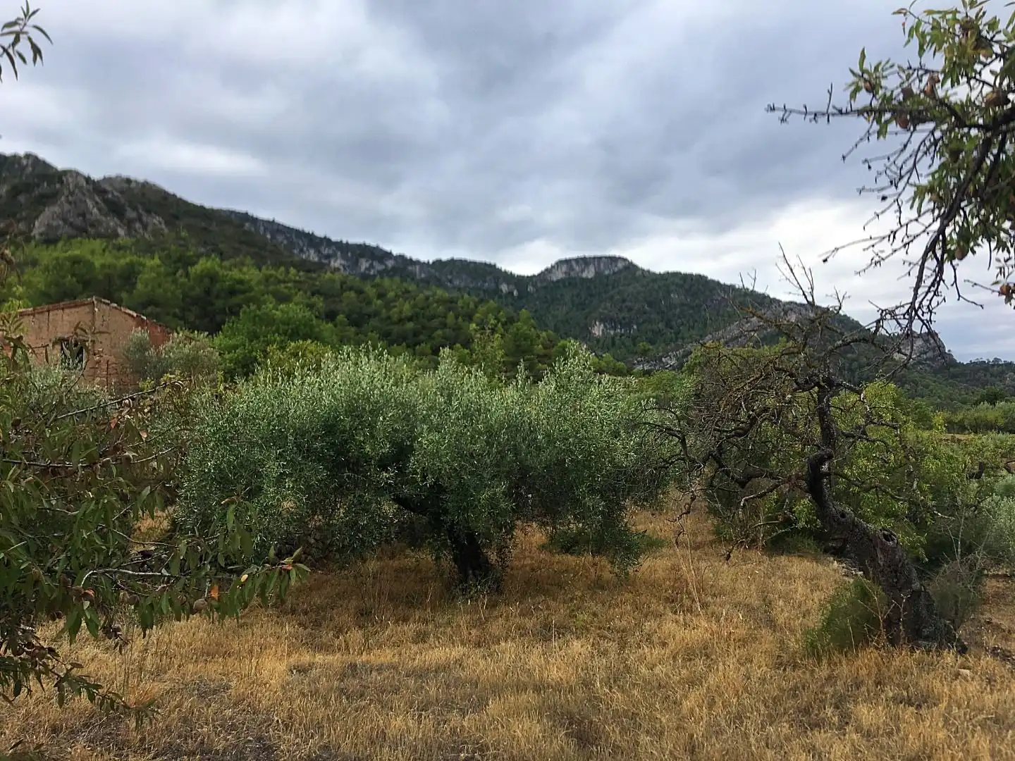Finca rústica en venda en Benifallet