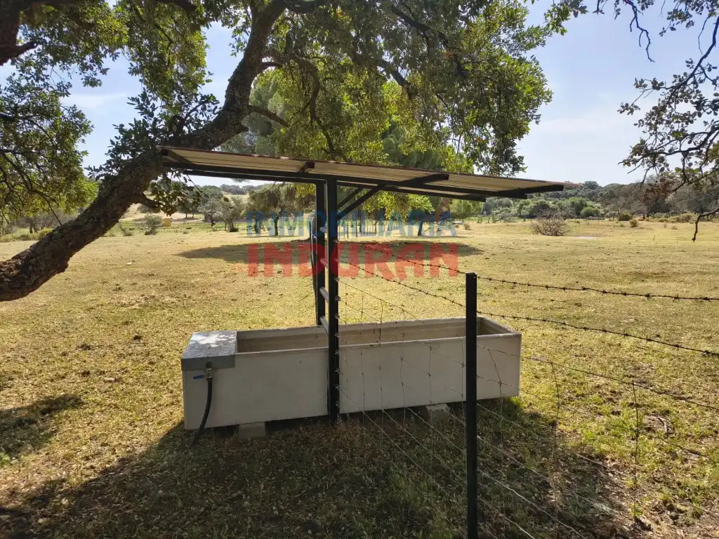 Jardí de Finca rústica en venda en Talaván