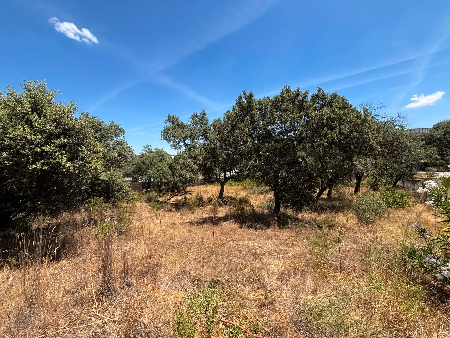 Residential land for sale in Paseo del Perú, imagen 15
