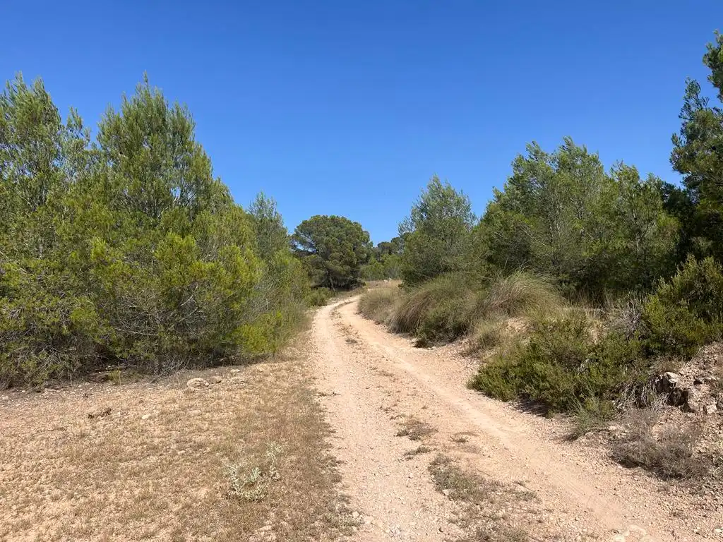 Terreny en venda en Hellín