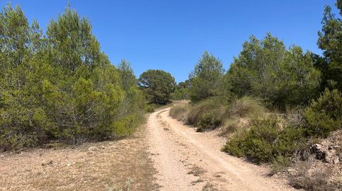 Photo 5 of Land for sale in Hellín, Albacete