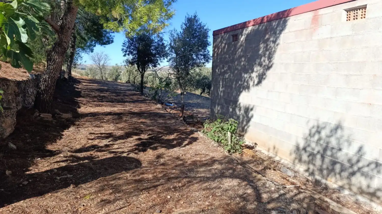 Casa rústica en venda a Valdepeñas, imagen 45