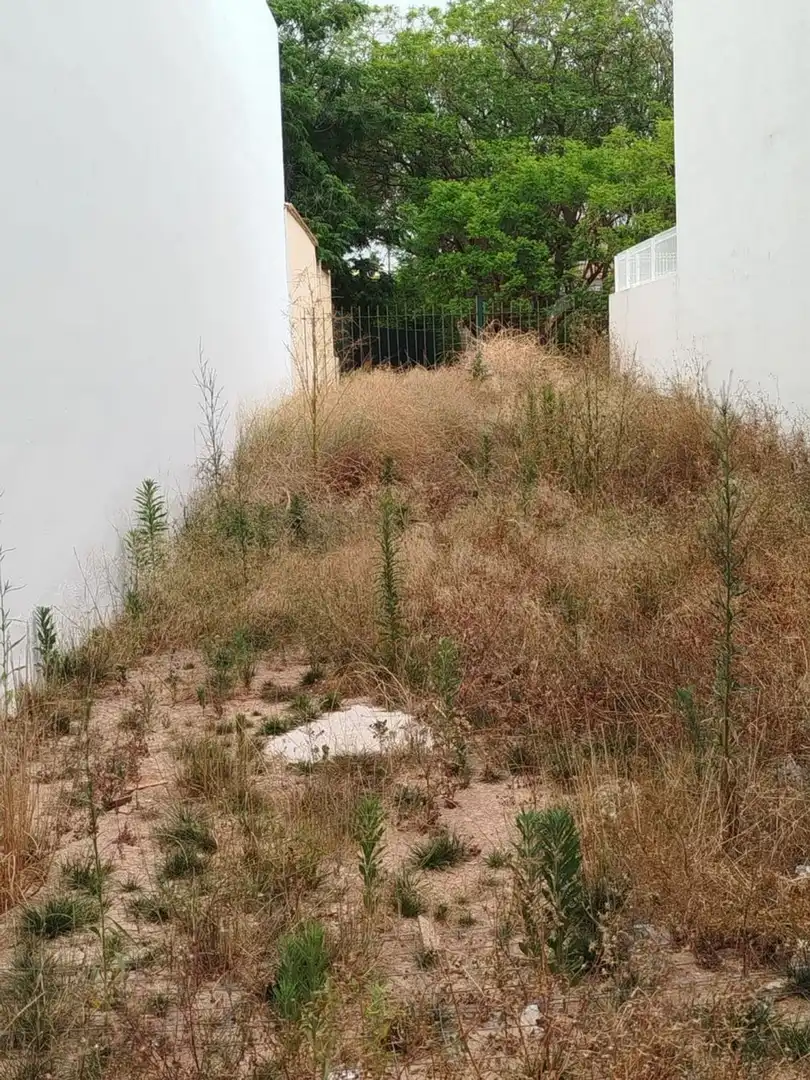 Rustikales Grundstück zum Verkauf in Avenida Avenida de la Albufera, 101, imagen 4