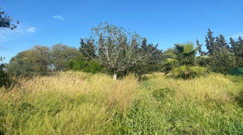 Photo 5 of Land for sale in  Bellavista, Bellavista, Sevilla