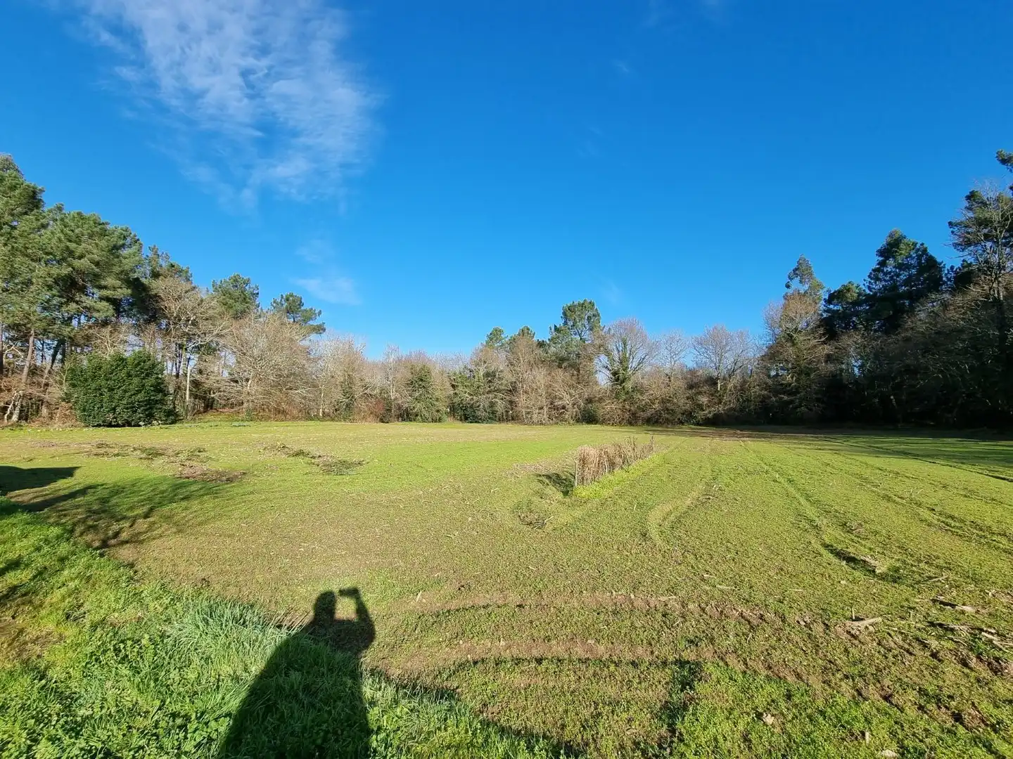 Houses for sale in Teo