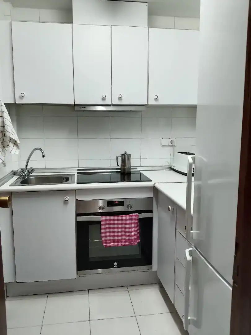 Kitchen of Apartments for rent in Juzgados - Plaza de Toros