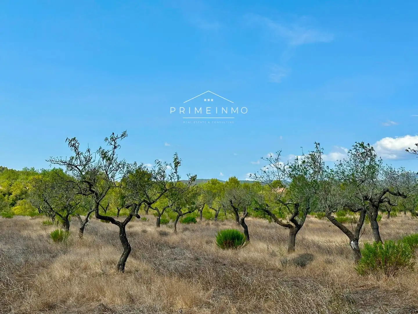 Casa rústica en venta en El Perelló, imagen 23