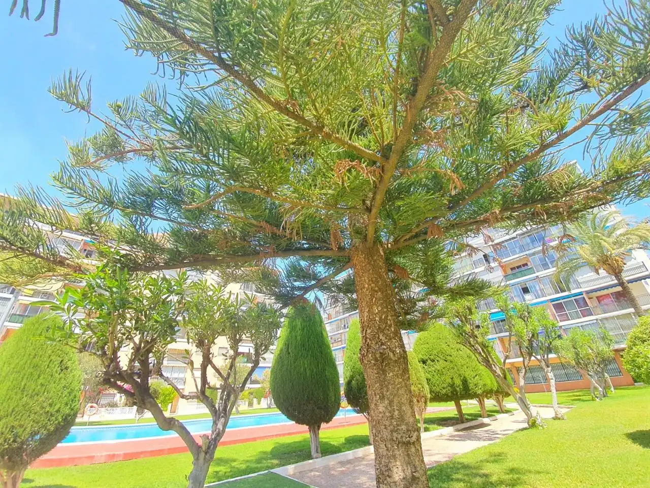 Jardín de Dúplex de alquiler en Villajoyosa / La Vila Joiosa con Piscina y Amueblado