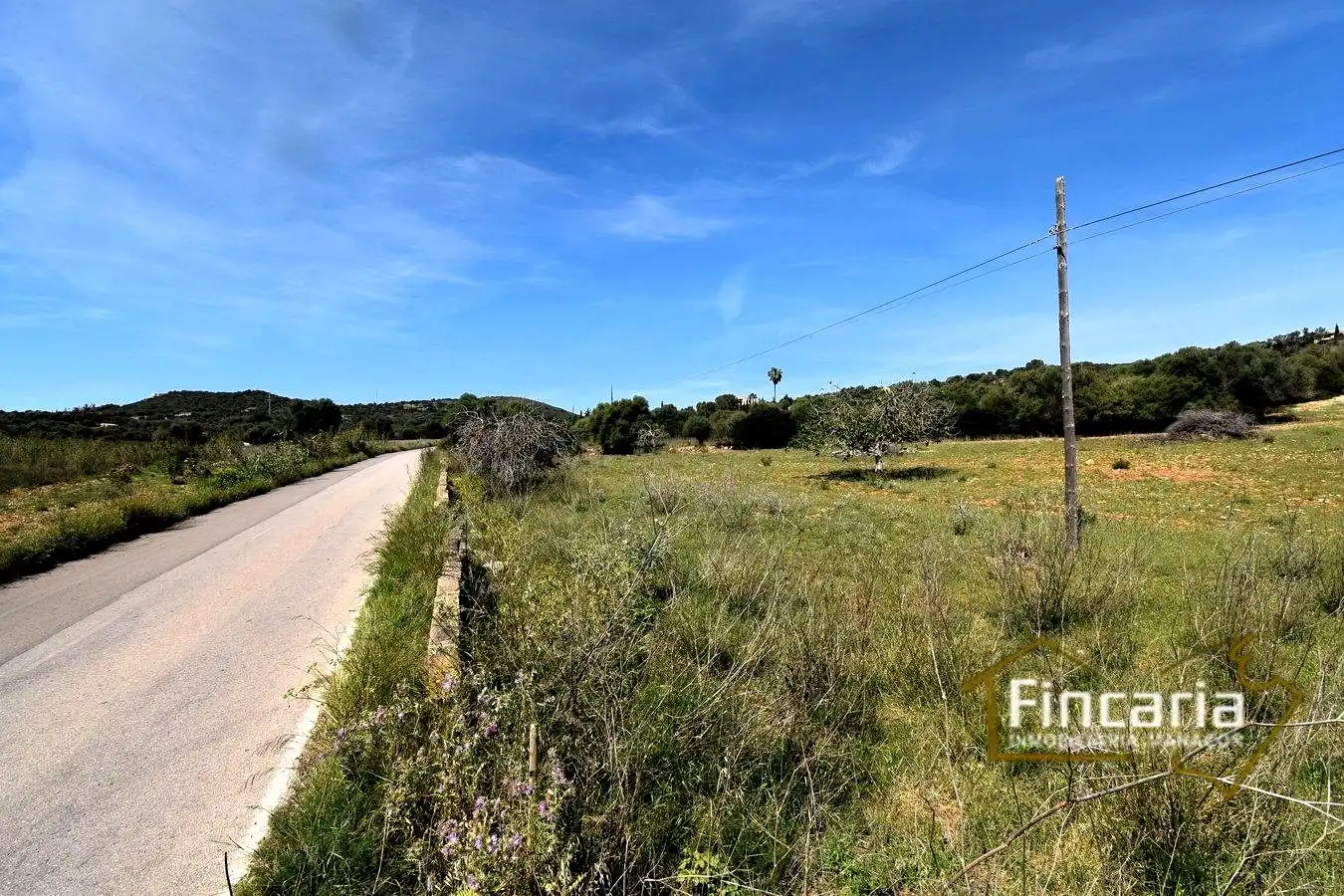 Rural land for sale in De La Torre Nova, imagen 12