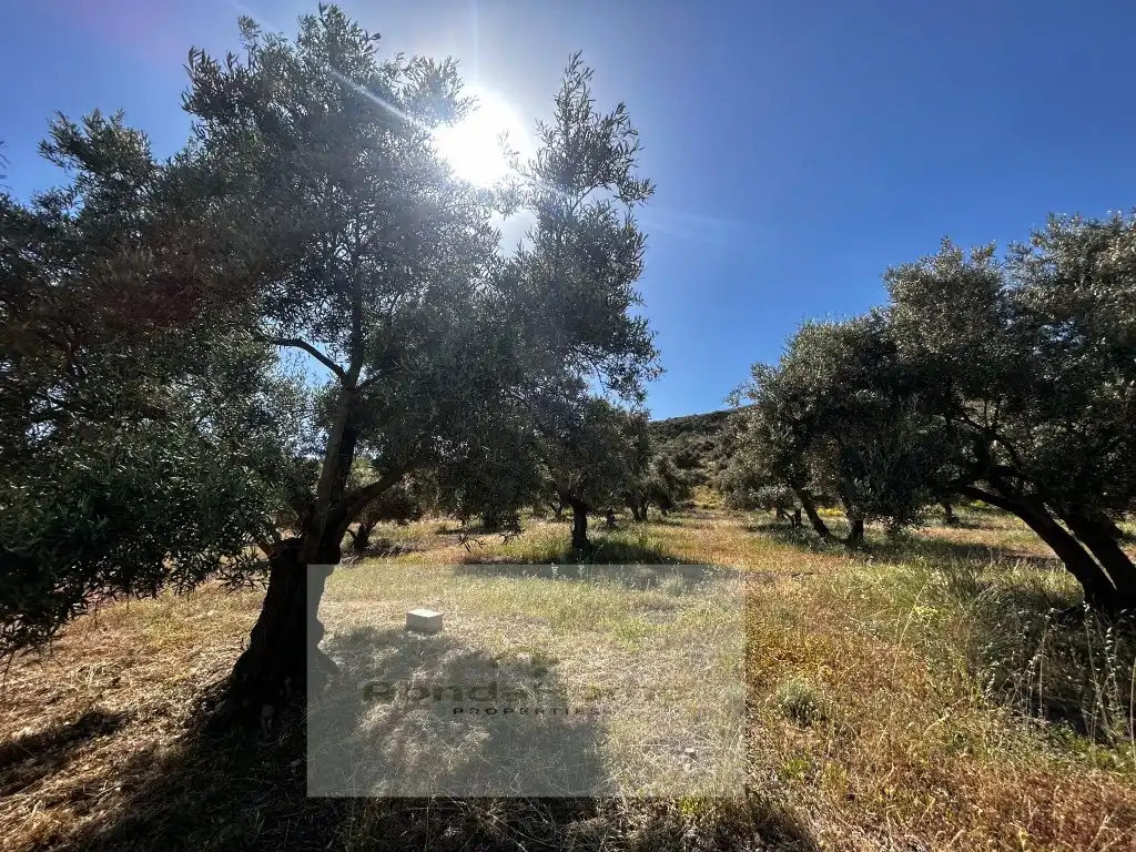 Finca rústica en venta en Partidas Norte