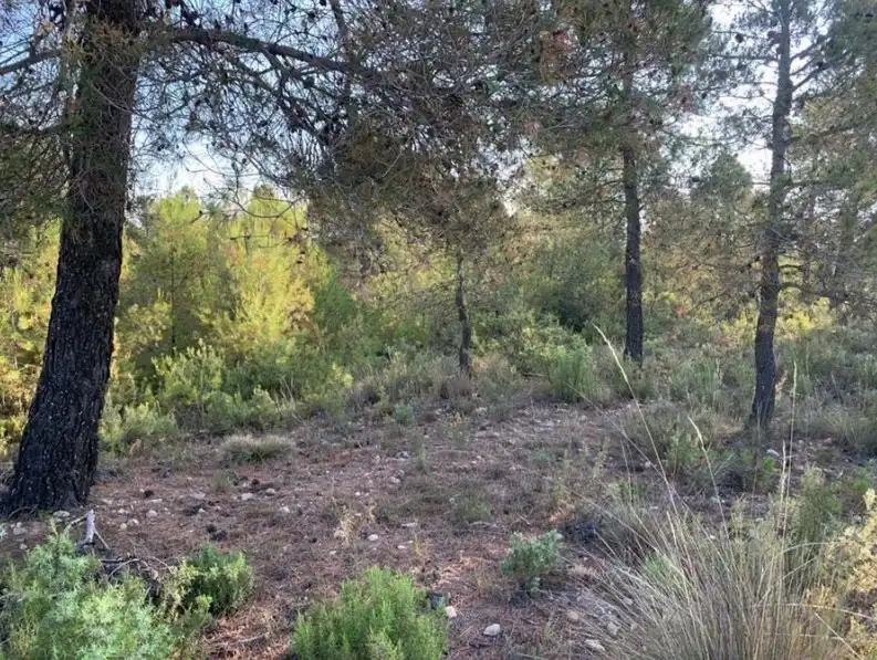 Terreno en venta en Villargordo del Cabriel