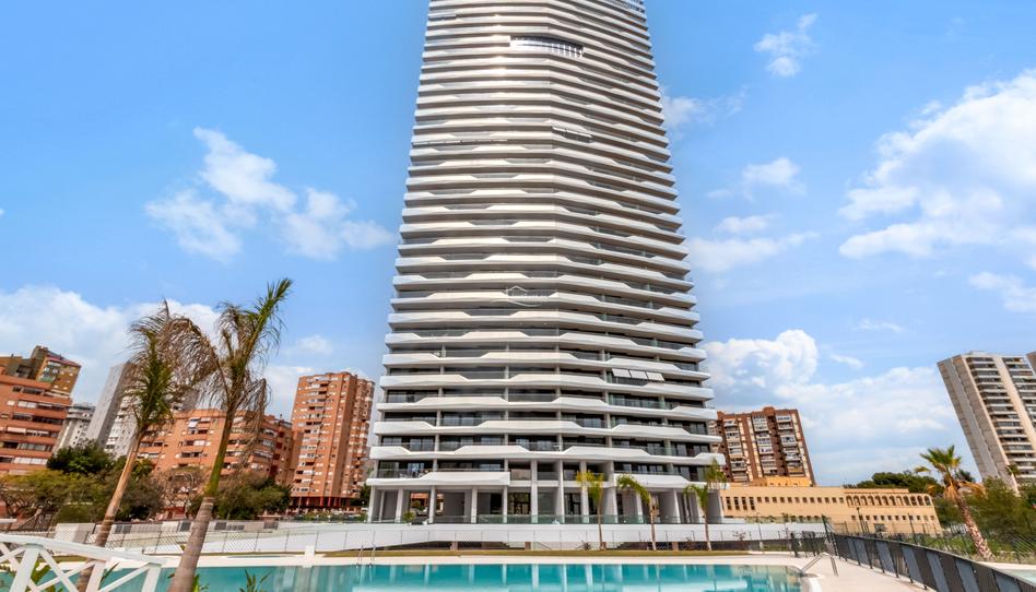 Foto 1 de Pis de lloguer a Playa Poniente, Alicante