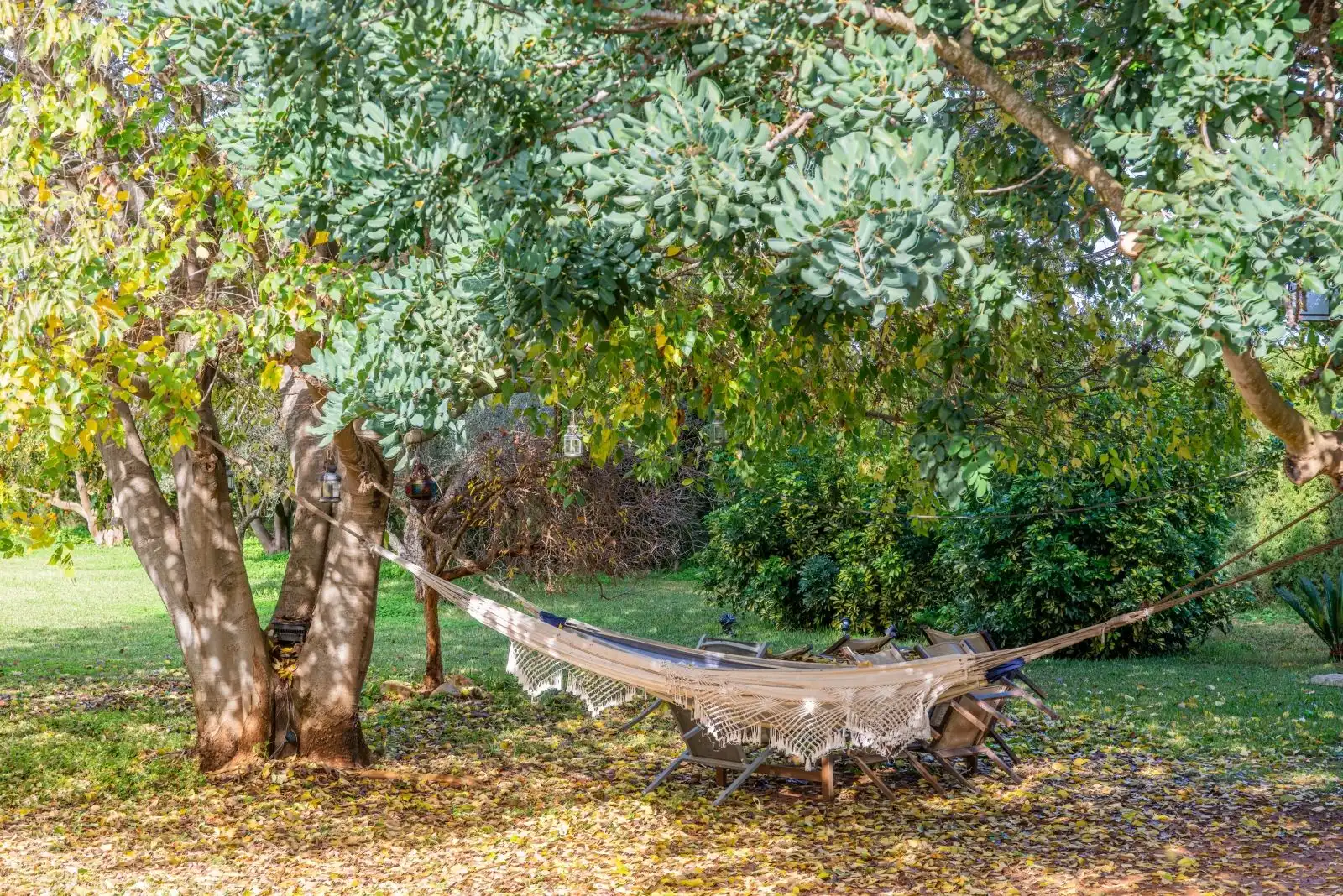 Villa con piscina in vendita a Ondara, imagen 43