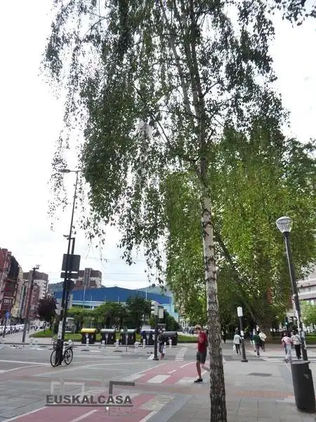 Außenansicht von Wohnung zum Verkauf in Bilbao  mit Terrasse