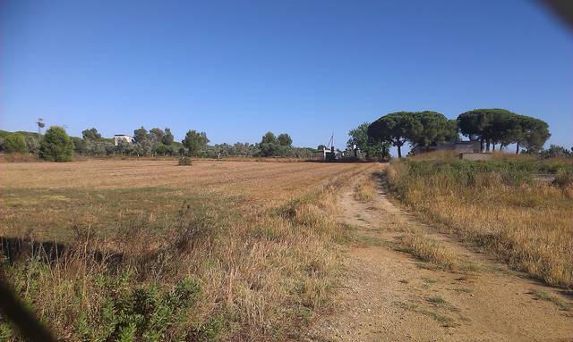 Terreno en Venta en Sancti Petri