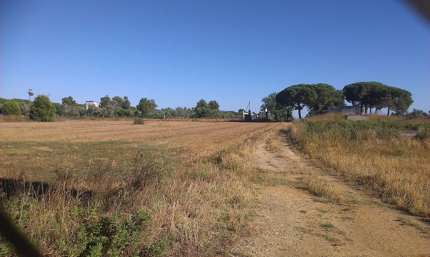 Terreni e lotti in vendita a Sancti Petri
