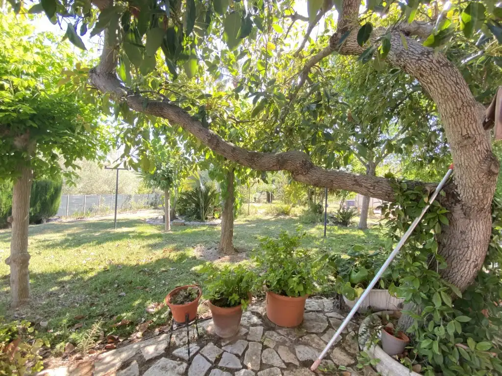 Garden of Houses for sale in Borriol, Castellón